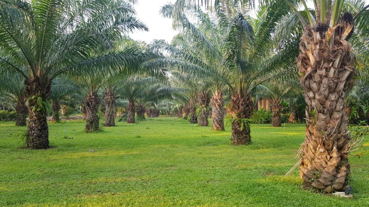 Palm Pran Resort Pran Buri Luaran gambar