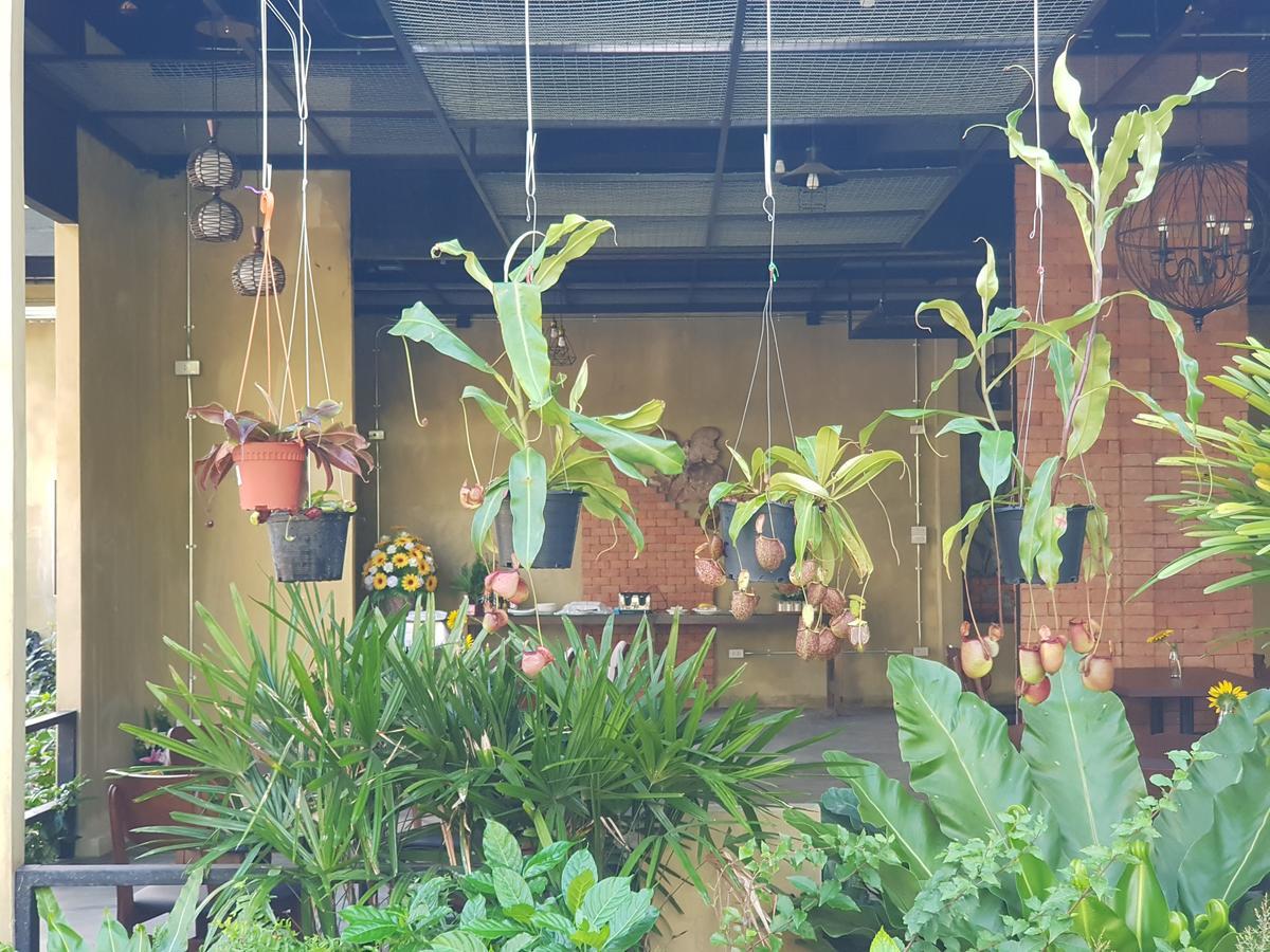 Palm Pran Resort Pran Buri Luaran gambar